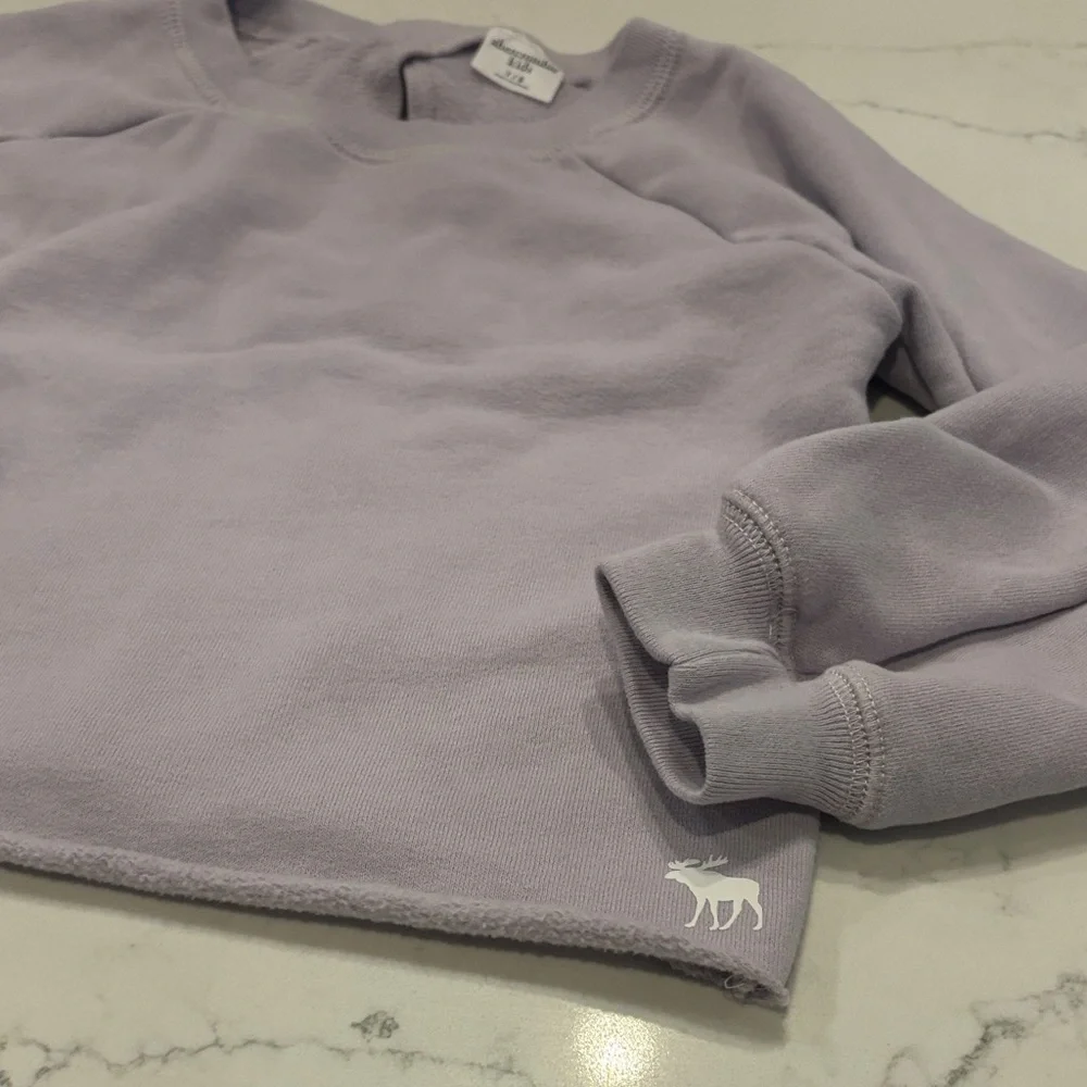 Abercrombie Kids Light Purple Pullover